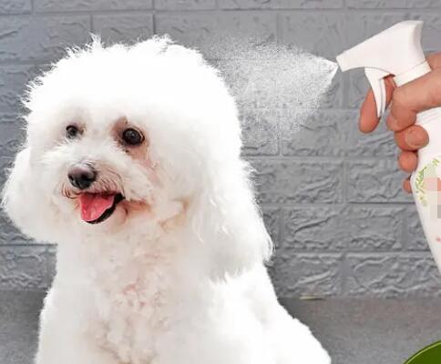 寵物洗毛水(液)進(jìn)口報(bào)關(guān)代理公司(進(jìn)口寵物洗毛水清關(guān)公司)