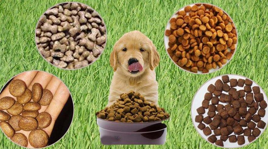 進(jìn)口寵物食品需要中文標(biāo)簽嗎？（進(jìn)口狗糧可以不貼中文標(biāo)簽嗎）